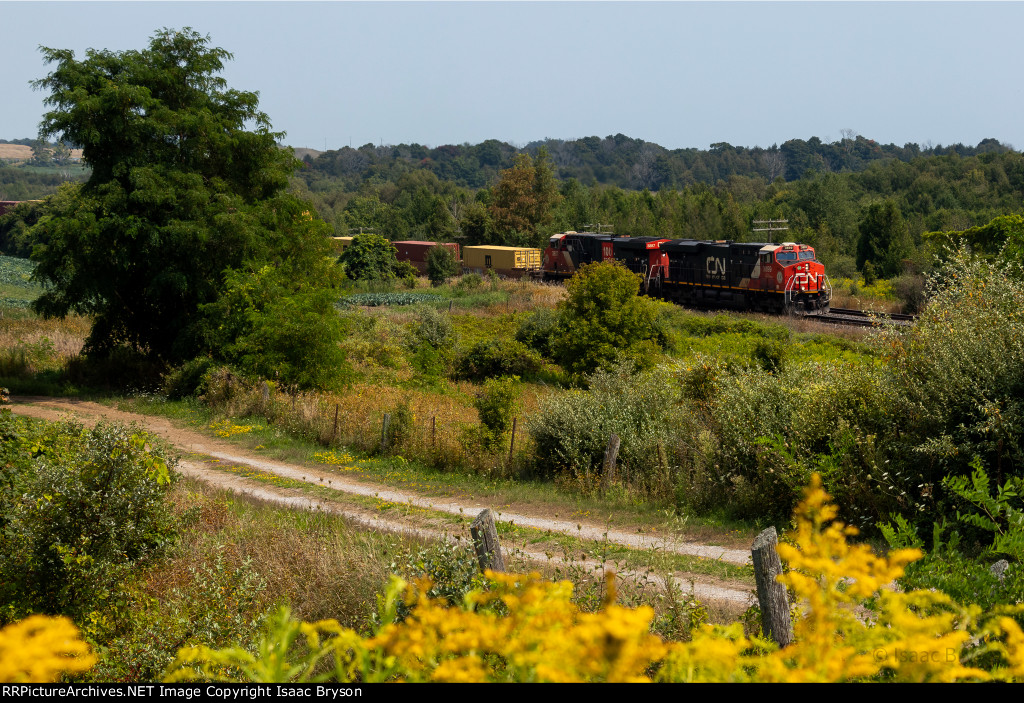 CN 3899